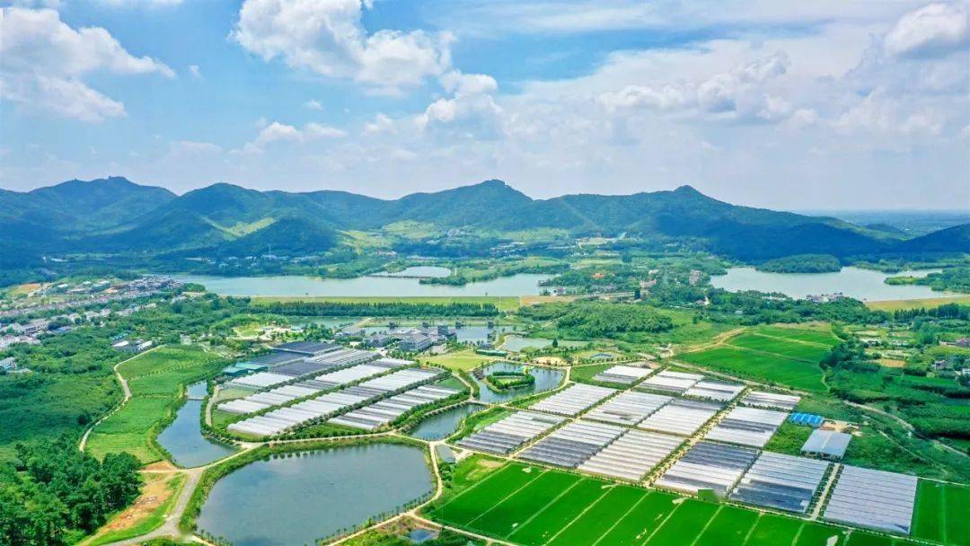 金坛茅山创建国家级旅游度假区宣传月暨全国主流媒体走进金坛茅山采风