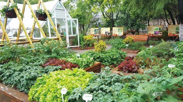 在蔬菜水果间享受趣味与健康2020年第9期花样生活专题