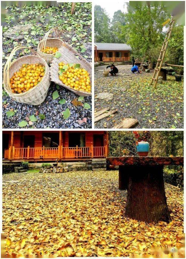青山绿舍安州这里又双叒叕一处网红打卡地你一定不能错过