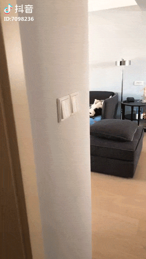 500_889竖版 竖屏gif 动态图 动图