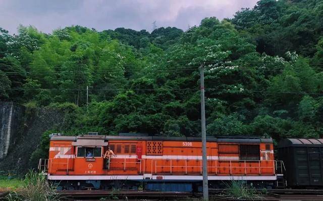 杭州千岛湖版小镰仓美出新高度快来展开一段小清新之旅吧