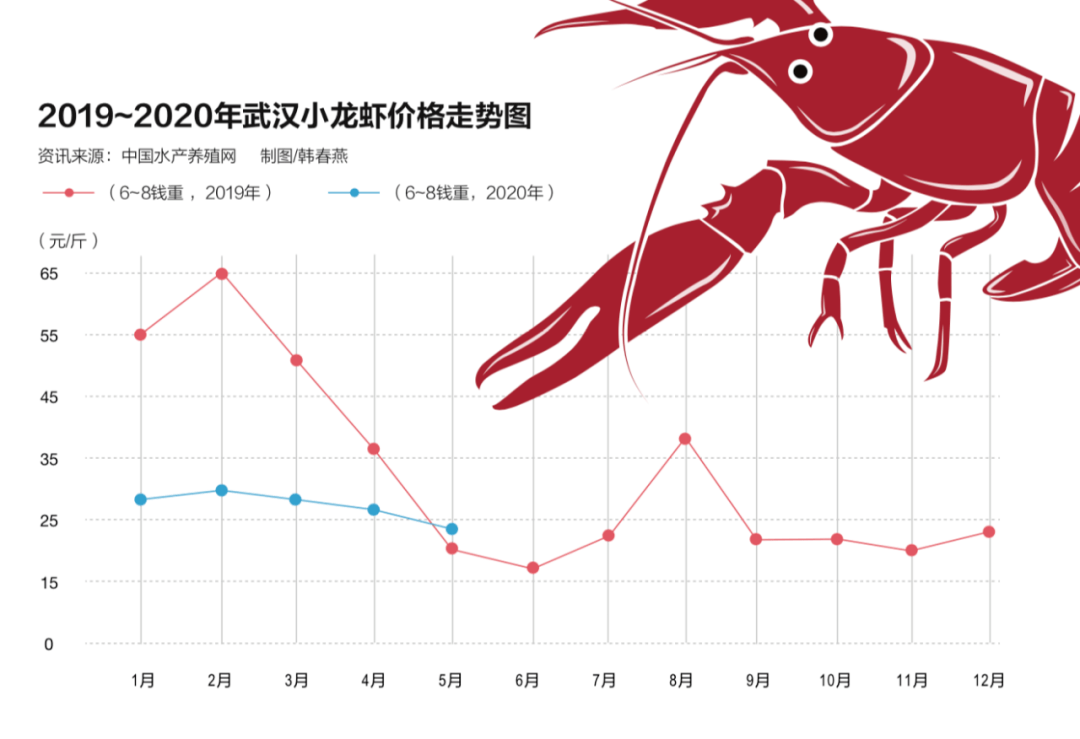 在2020年紛紛進入小龍蝦養殖正軌之後,蝦苗的市場價格遭遇滑鐵盧