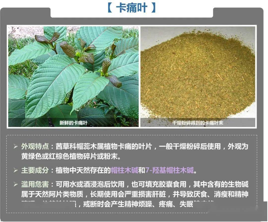 禁毒宣传月毒品你了解多少