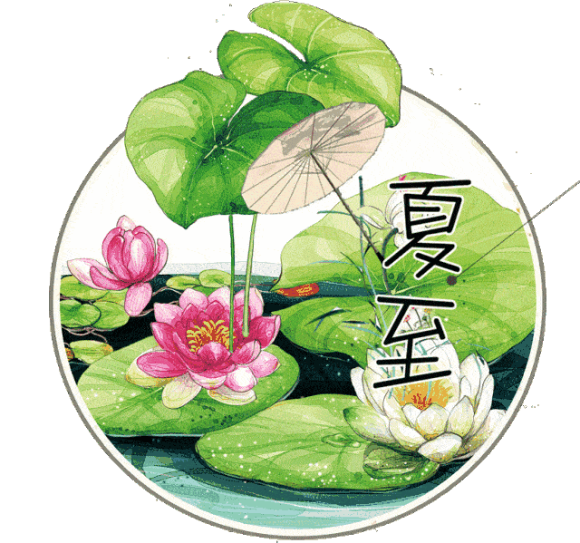 今日夏至,美醉了,愿你幸福一"夏"