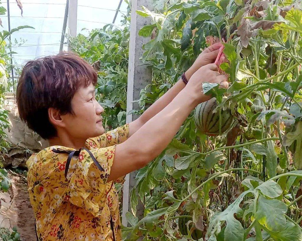 雷迎利,女,45岁,白鹤镇七里村脱贫户.