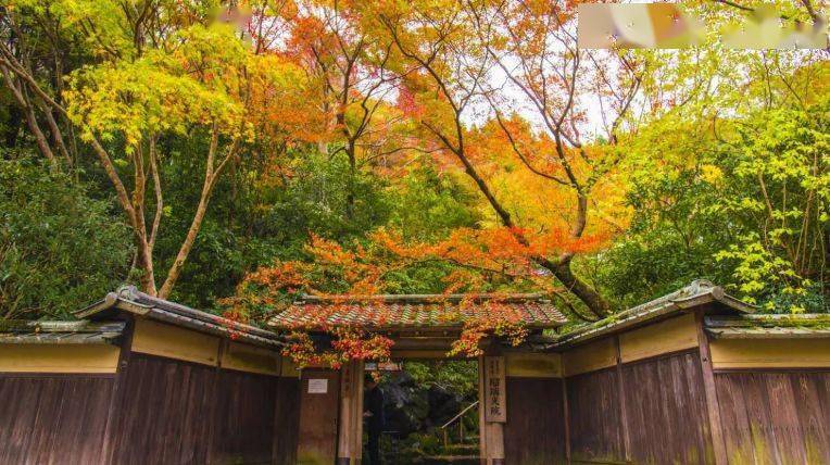 京都网红打卡地琉璃光院绝对不可错过的日本庭院之美