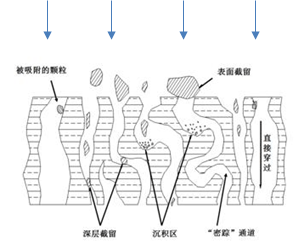 深层过滤膜包原理图片