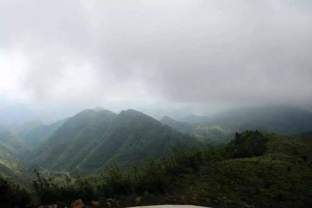 端午节,约富宁鸟王山玩去?