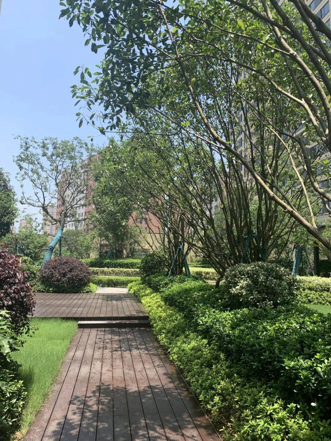 原创瓯海之光交付看看旭辉在温处女作的亮点在哪里