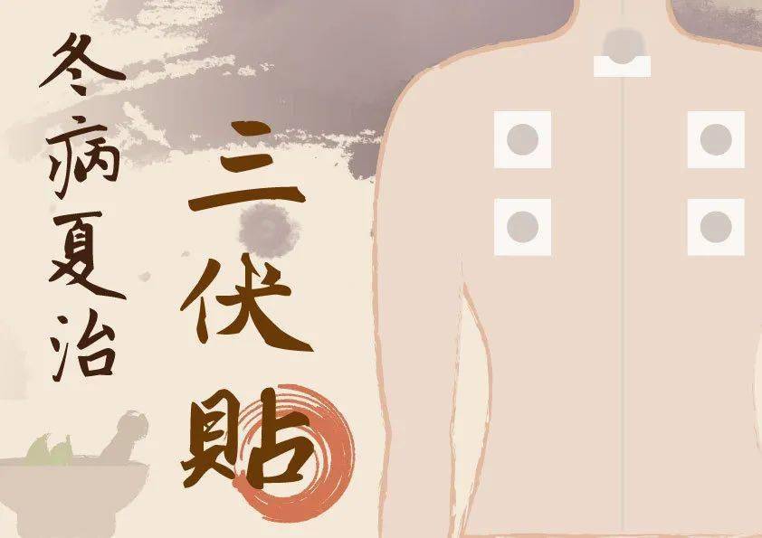"三伏贴"贴敷即将开始预约啦!
