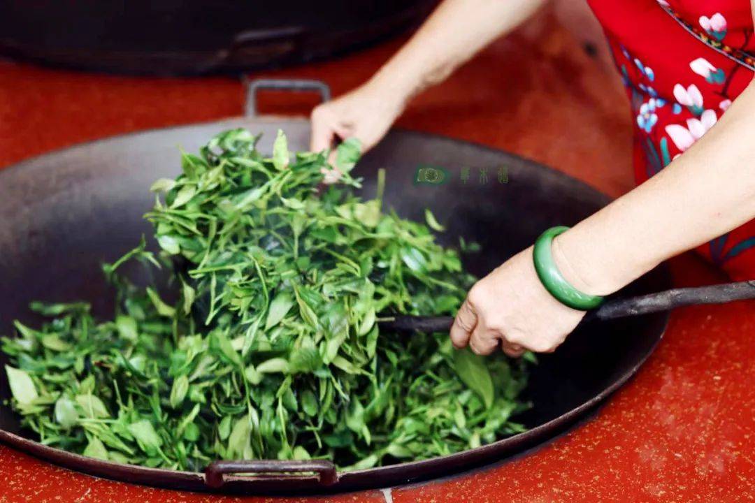 茉莉花茶/六堡茶,广西茶之旅开始了