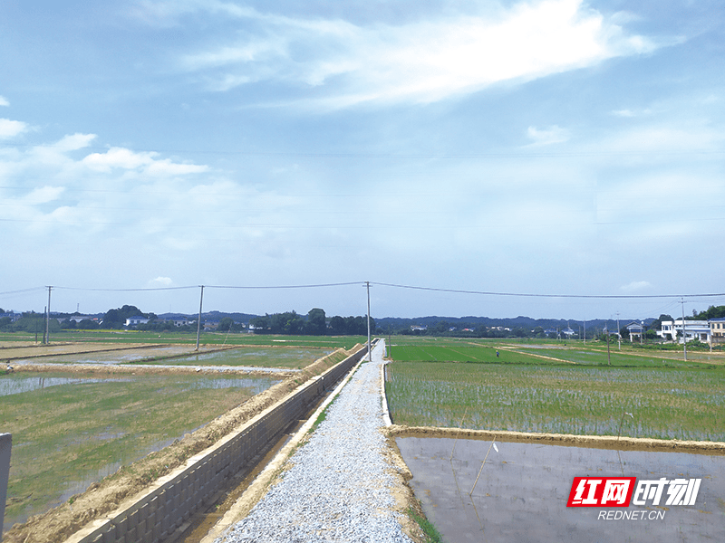6月22日,位于官桥镇八角亭村的高标准农田建设2标段完成浏阳本级验收