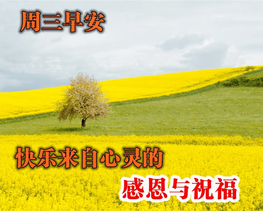 微信早晨好图片带问候语星期三早安祝福语表情带句子