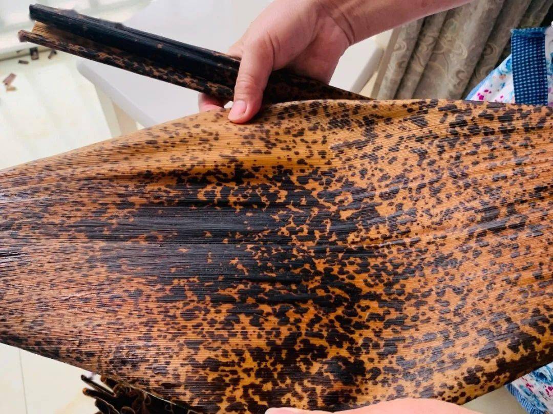 古宋的罗四姐,你做的粽子今天上最美兴文头条了!_笋壳