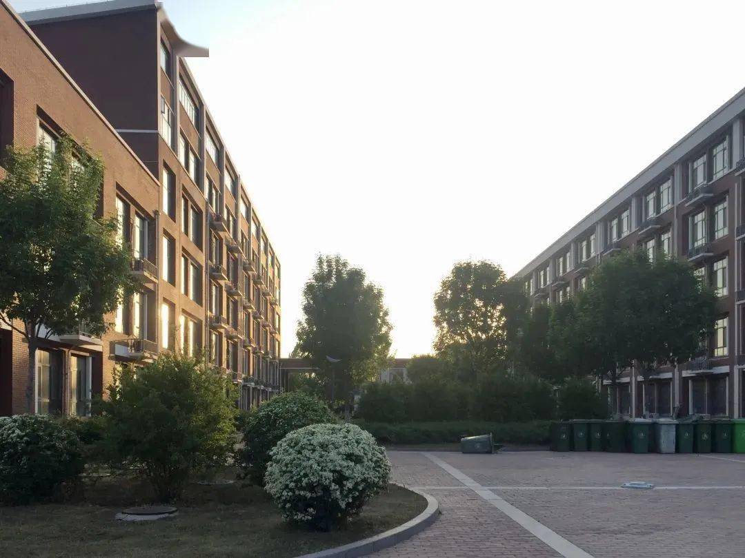 八段锦—齐鲁工业大学—来源 | 菏泽校区编审 | 盛霄