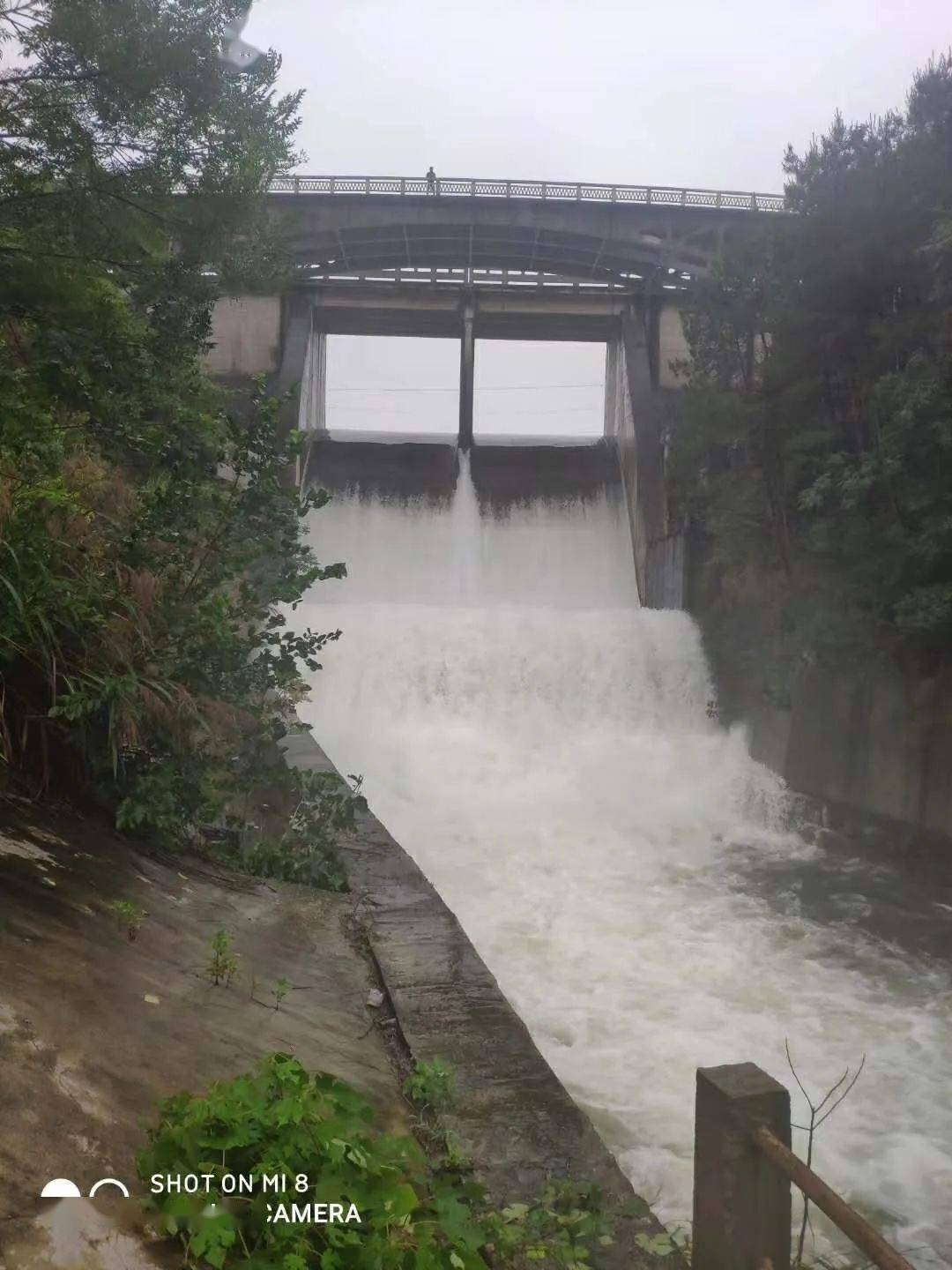 新洲道观河水库图片