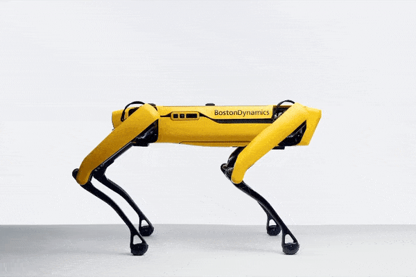 一只53 万!波士顿动力网红机器狗开售,充电器价格就要 1 万多