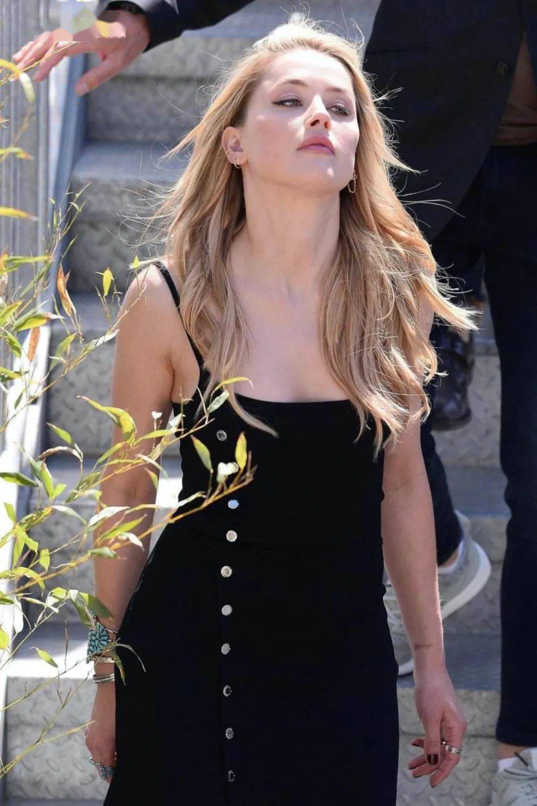 乘风破浪的绿茶德普前妻双性恋骗婚67还和特斯拉掌门多人运动