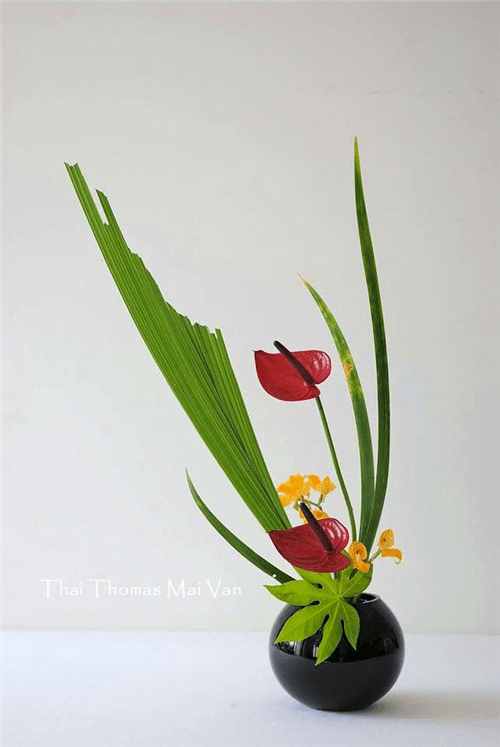 如兰分享插花欣赏红掌2