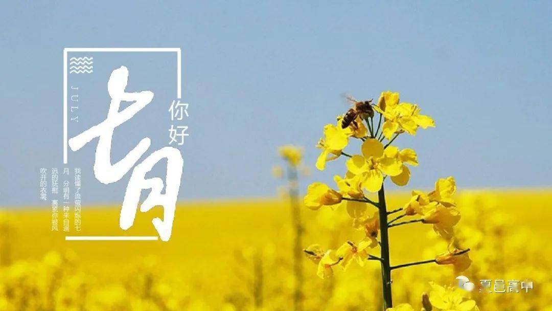 教师作品放歌七月