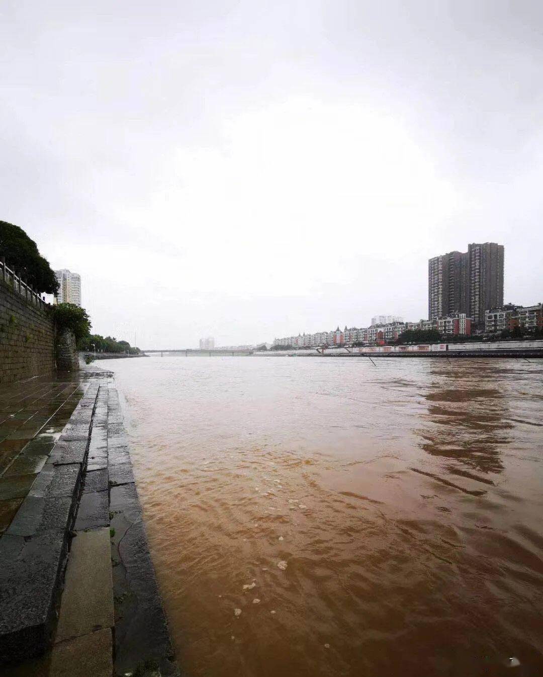 【随手拍高安】连续暴雨,锦江河水位这么高了?