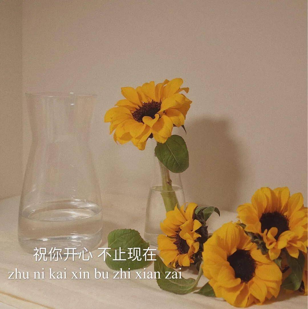 有多久没换朋友圈背景图啦