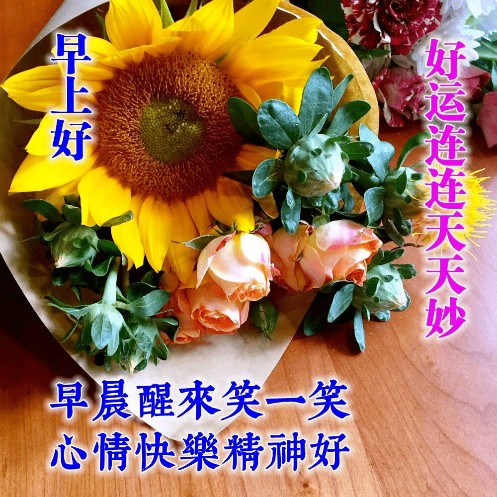 夏季早晨好問候語祝福語表情圖片 特好看早晨好漂亮圖片帶字_朋友