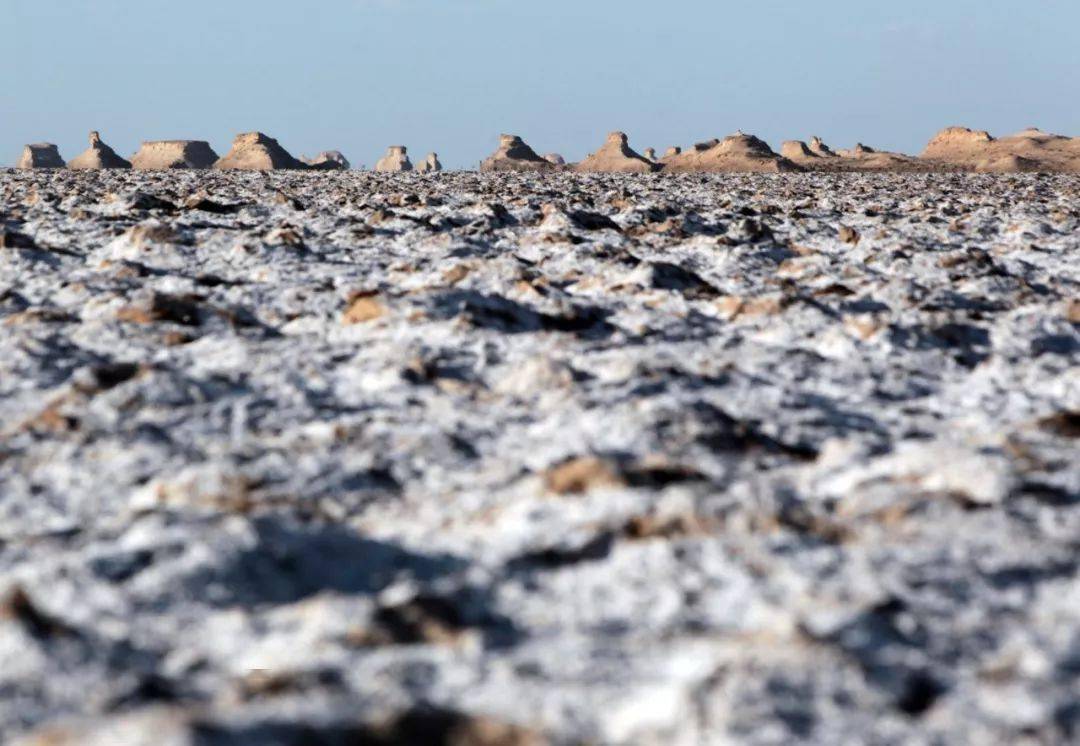 罗布泊腹地的盐碱地