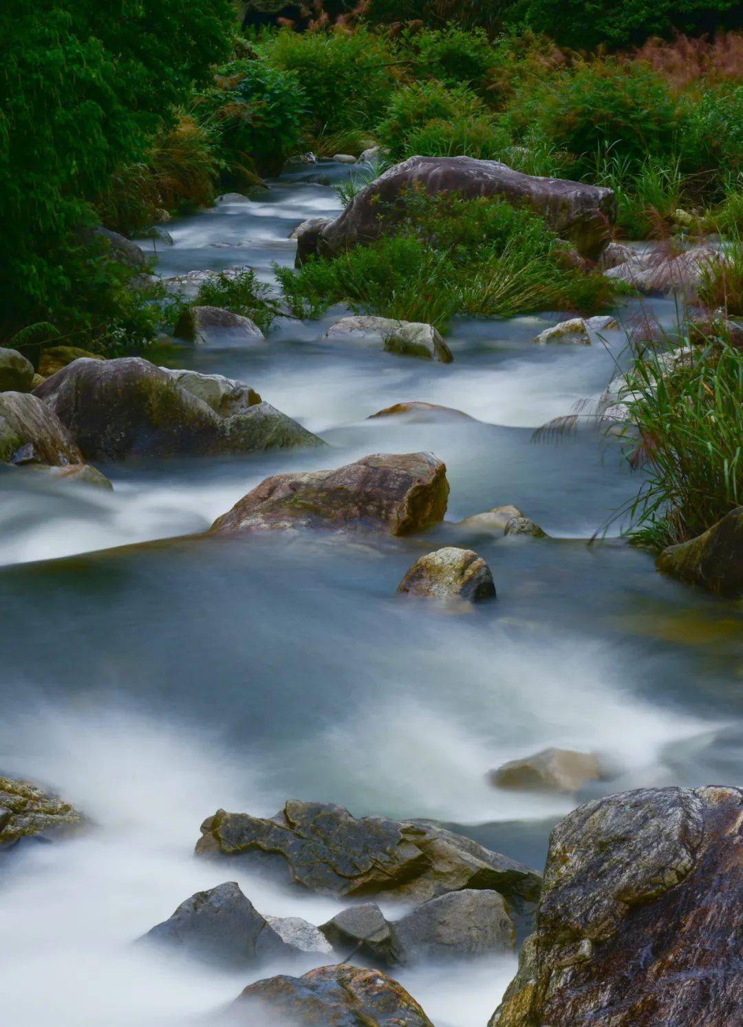 金沟夏日的水有一种天上银河的美