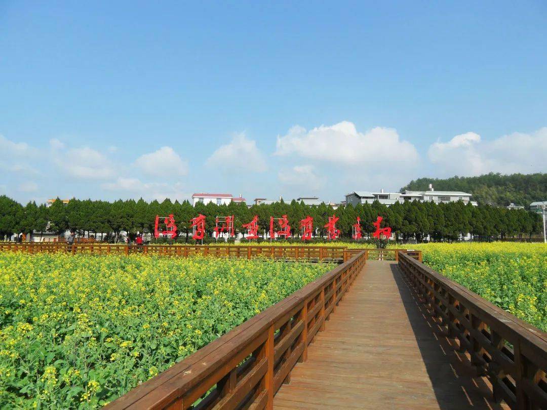 【直播预告】7月1日,电台主播带你游才溪,听说还有这样的好礼.