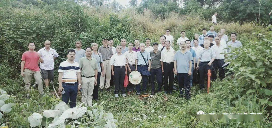 筑建宗祠是老祖宗冥冥之中的安排,现天下太平,族运昌盛,族人兴旺,肖儒