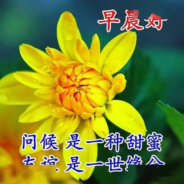 精致美好的早安励志语录俏皮可爱的早安问候语图片