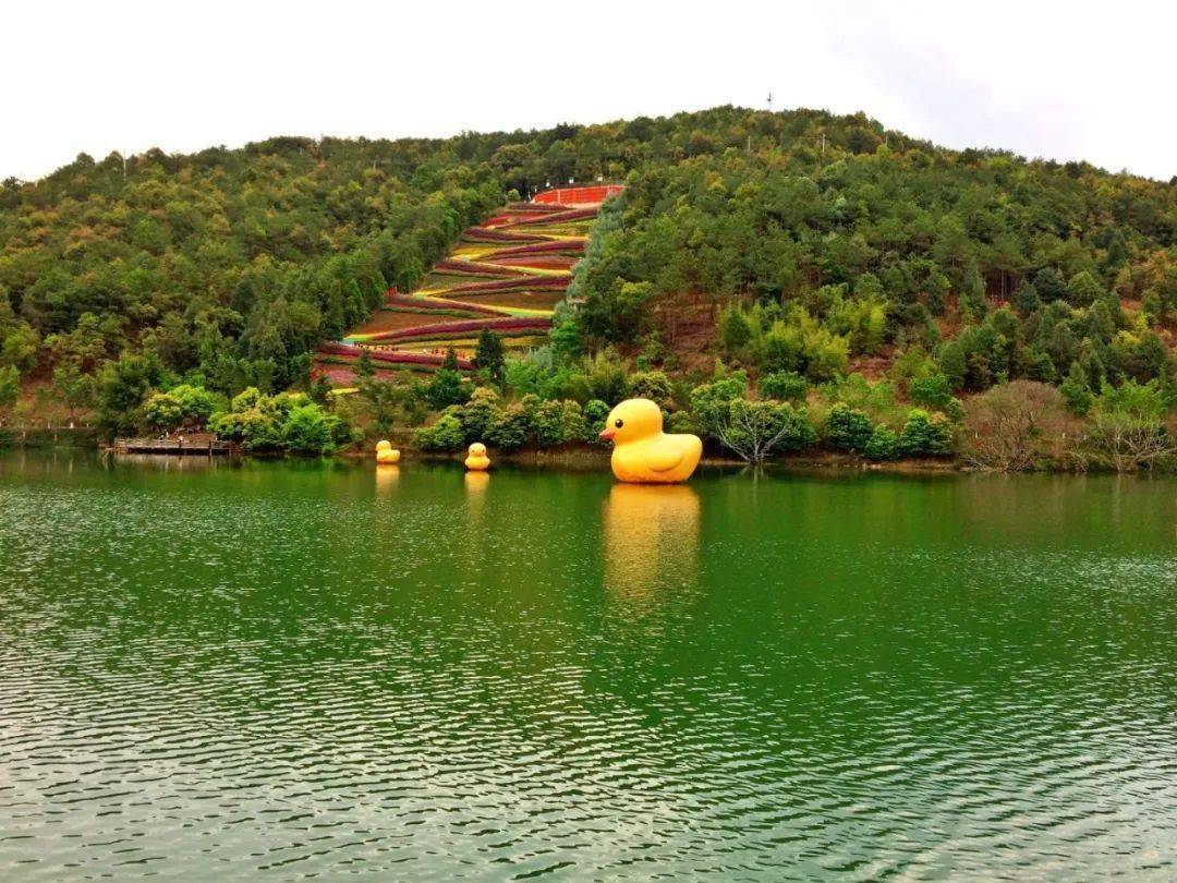 梅州灵光古刹,大观天下,麓湖山九曲杏花湾 入住五星麓湖山度假村,无