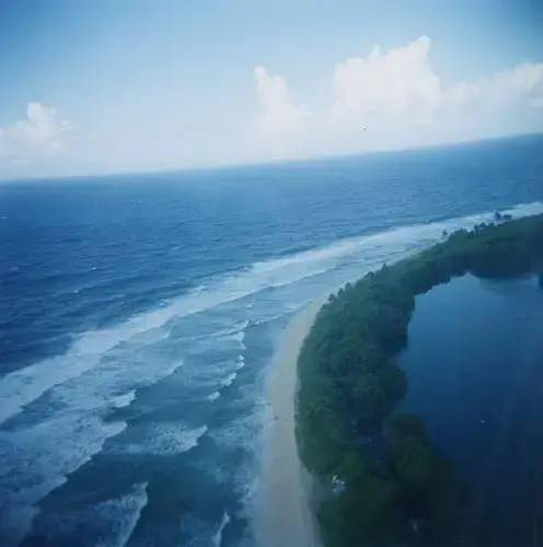 米沃什西蒙娜薇依的重要性