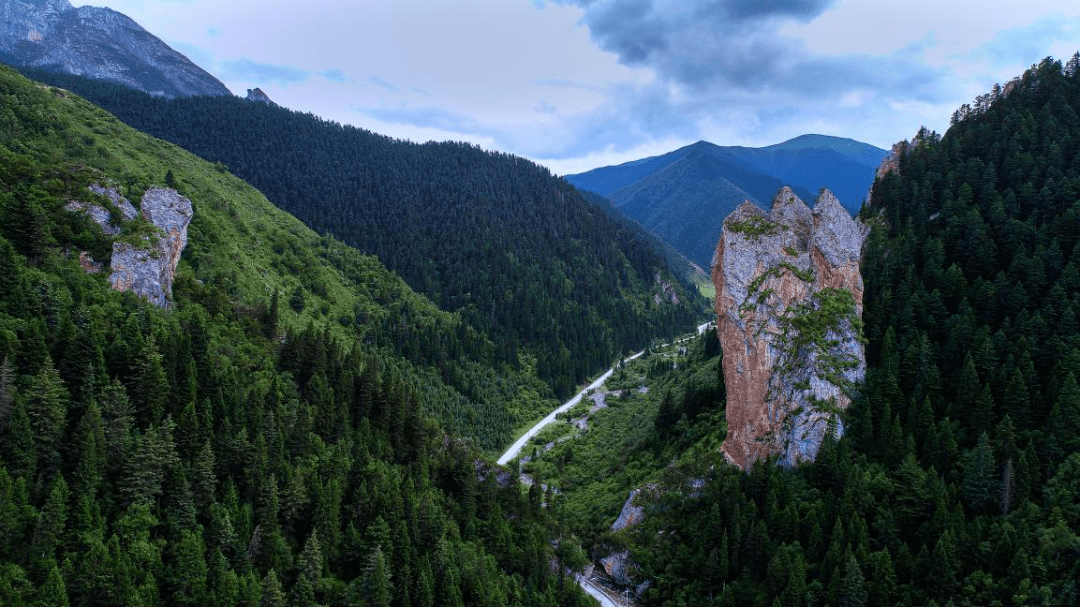 正是大峪好风景落花时节又逢君七月与你揭开卓尼大峪沟秀美的面纱