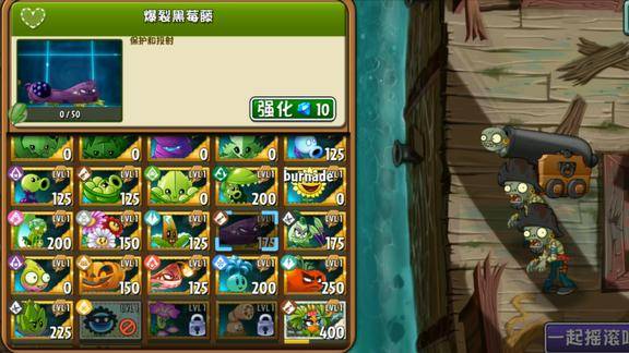 植物大战僵尸新款植物爆裂黑莓藤玩起来这是有多好玩