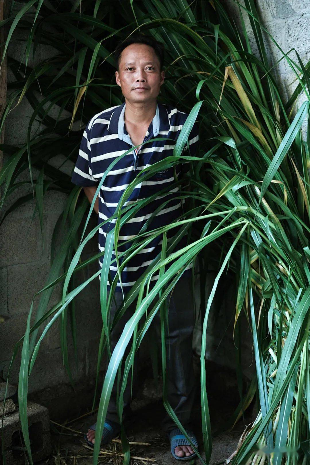 一个深度贫困村的脱贫影像档案傅拥军带你走进梅林村