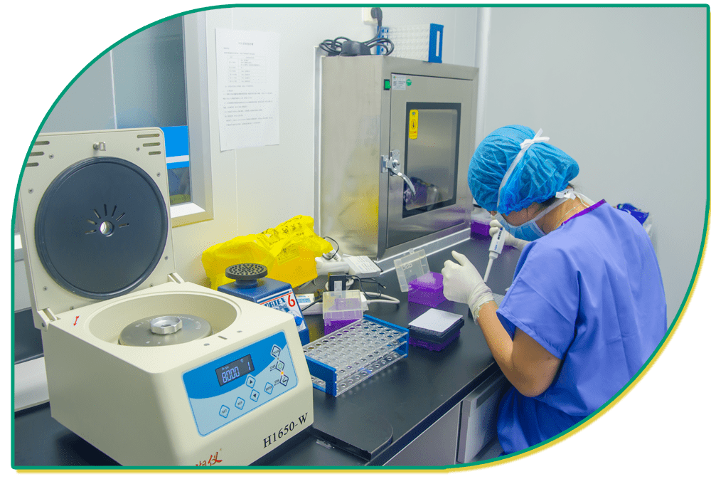 核酸标本日检测量最高可达3000份|我院启用新分子诊断实验室