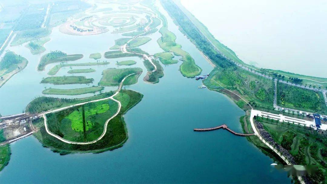 泗阳成子湖景区图片