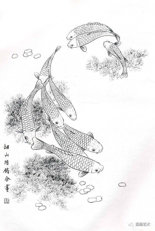 图文教程工笔锦鲤画法与白描画稿