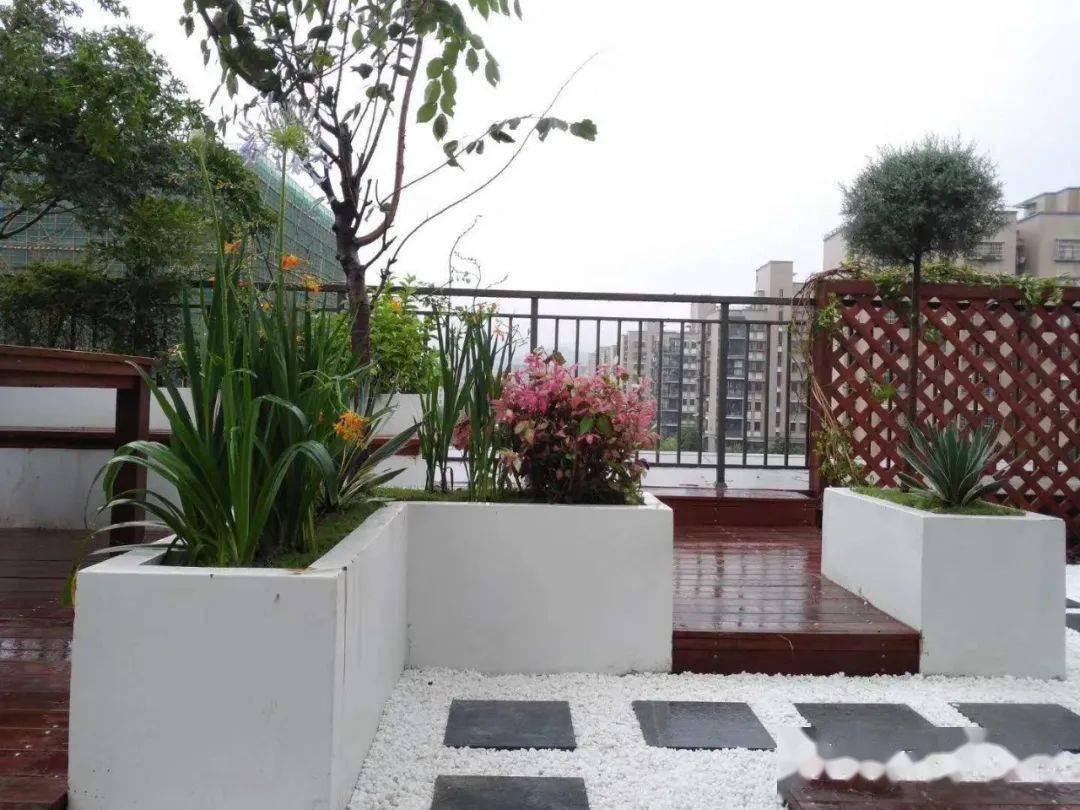 猫草造景设计与施工日记露台案例一