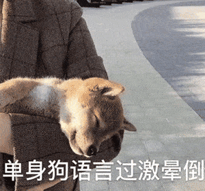 工地活多,告辞!