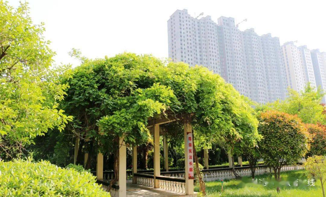 喜讯丨科达学校又获重要奖项