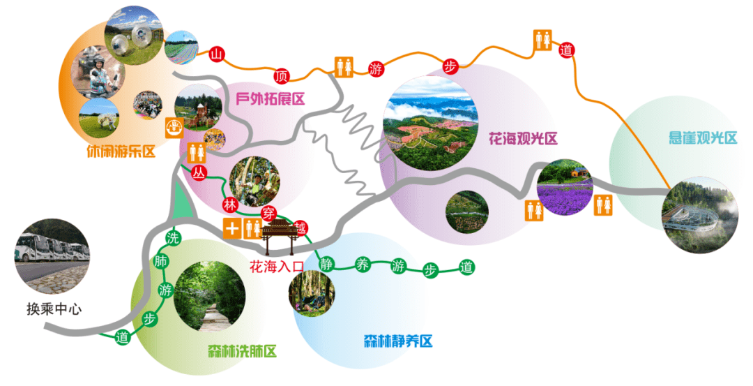 先睹为快 | 野三关森林花海景区升级改造完成,她究竟变成啥样了?