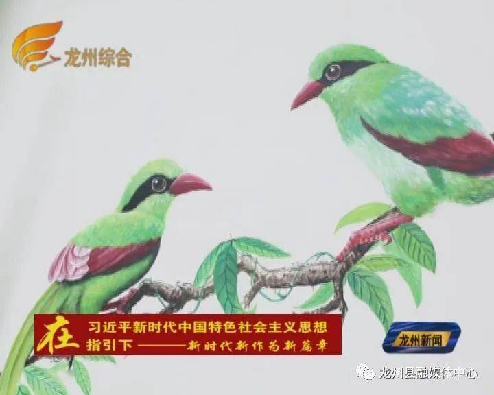 千名记者一线行龙州汪那屯明星鸟变身壁画扮靓新农村
