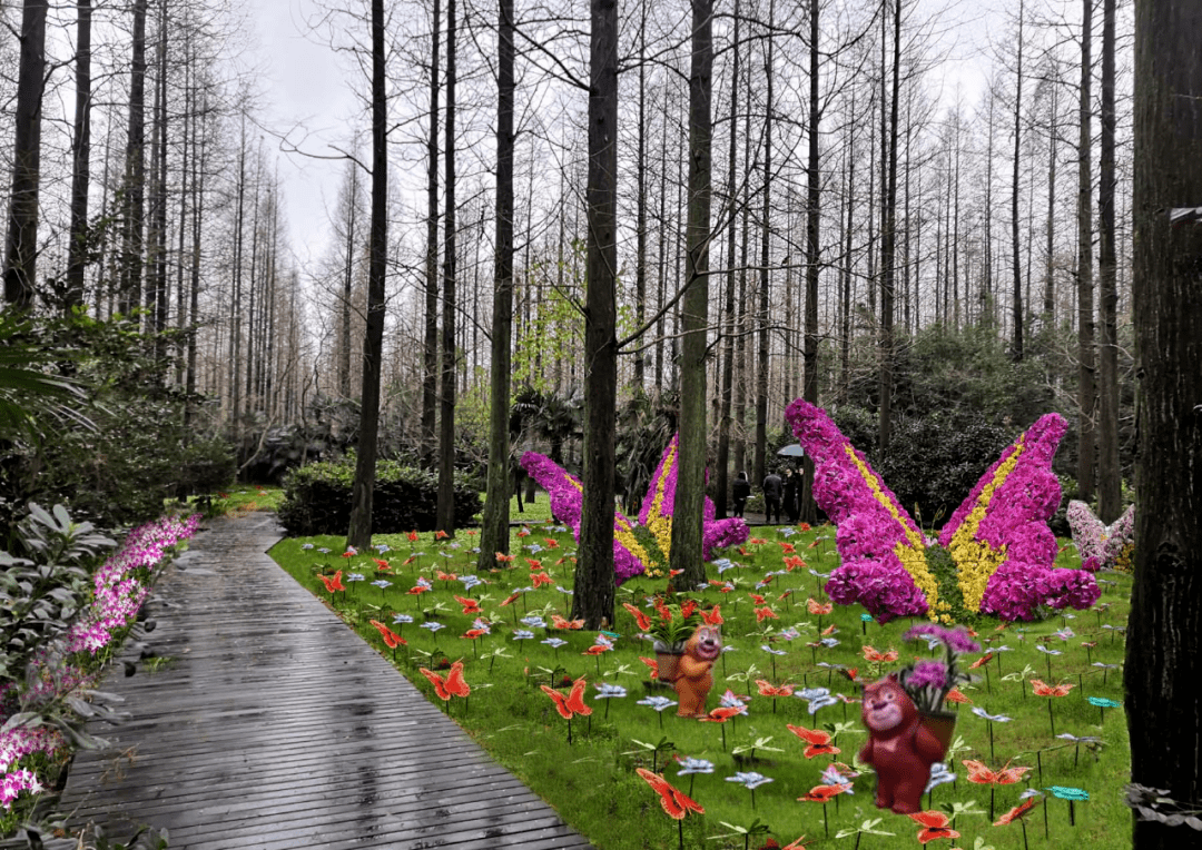 崇明花博揭秘第十屆中國花卉博覽會蘭園長啥樣