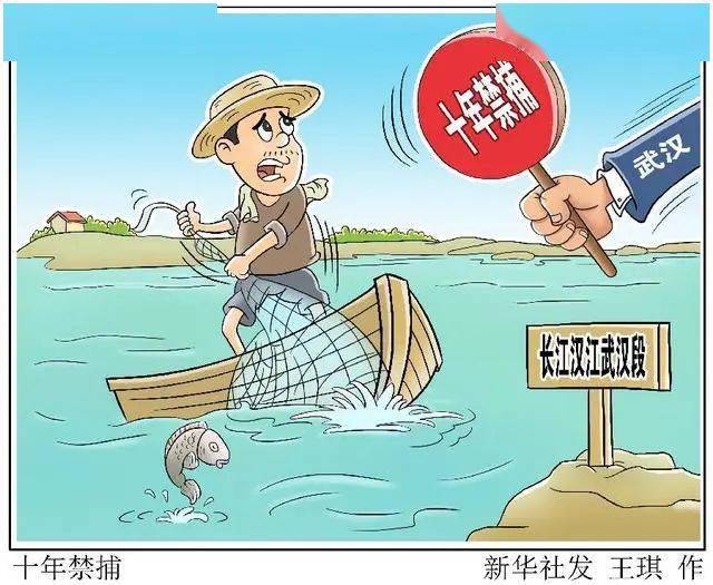 长江汉江武汉段开启“10年禁捕”-搜狐大视野-搜狐新闻