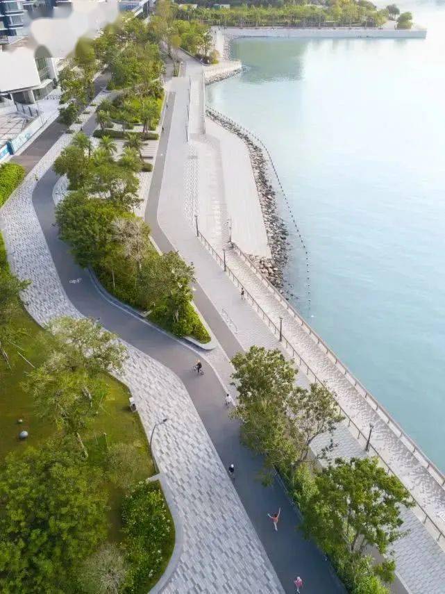 山水城市滨水公共空间景观设计深圳湾蛇口滨海长廊