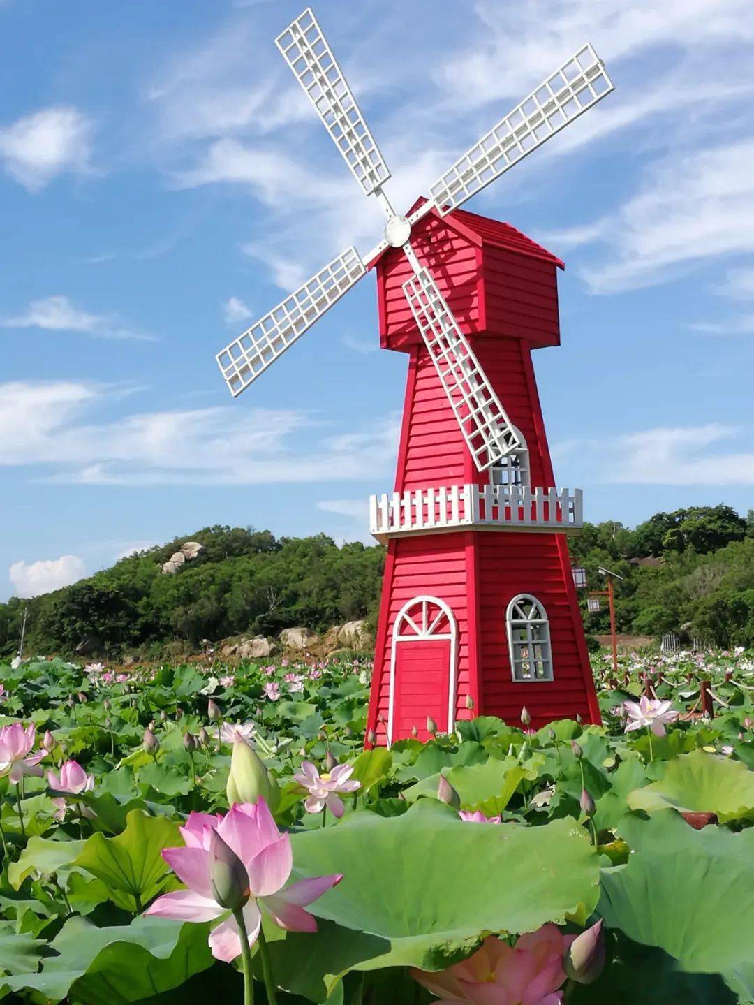 惠来沟疏湿地公园图片