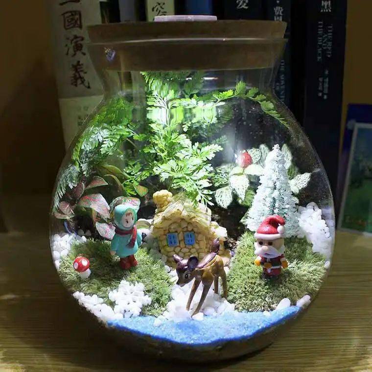 2019年场场爆满的金宝昆虫营仲夏7月再度上线